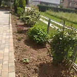 Ilidza Apartment Kovaci